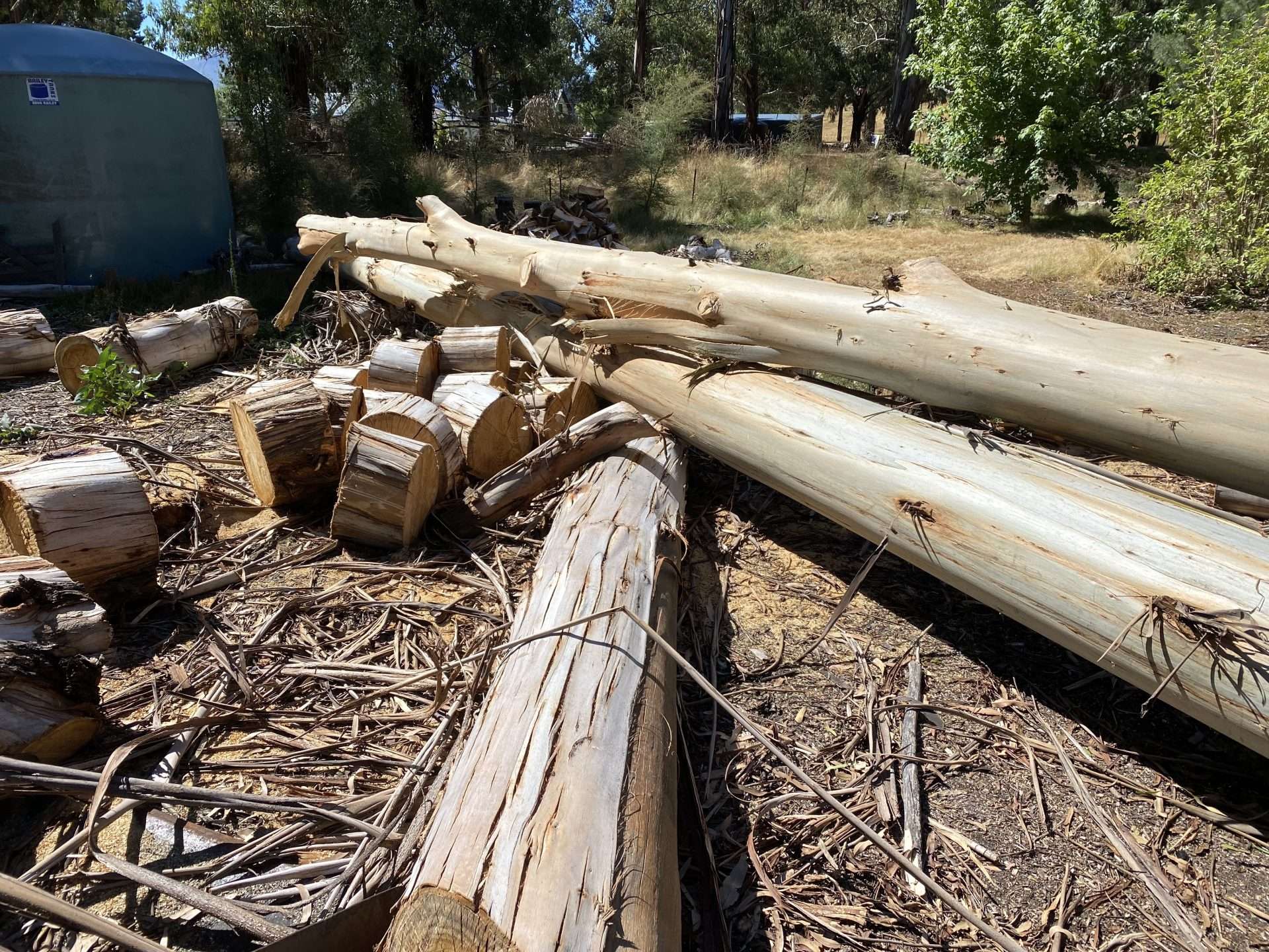 Dismantling trees in confined spaces