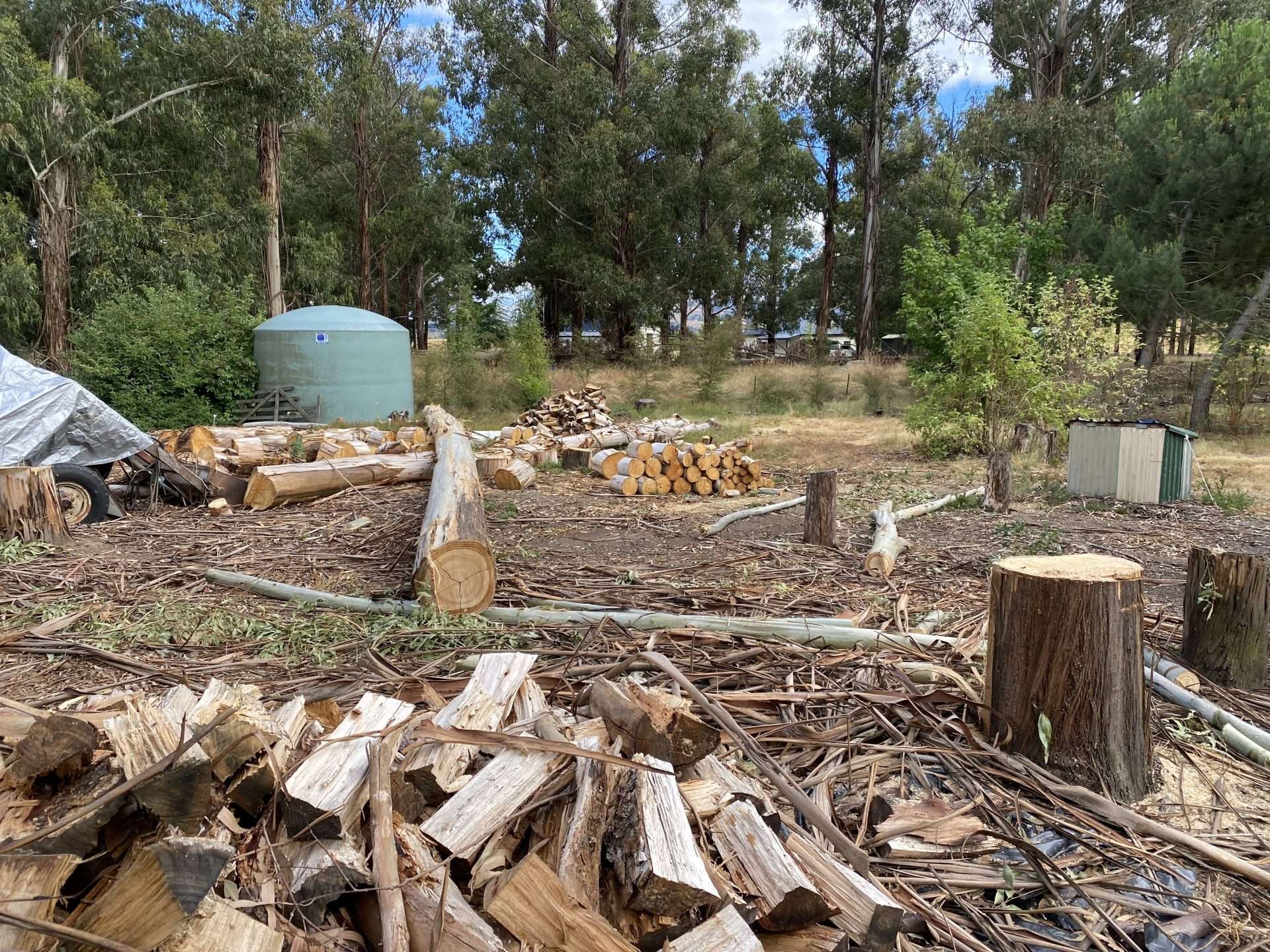 Dismantling trees in confined spaces