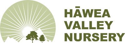 hawea valley nursery logo