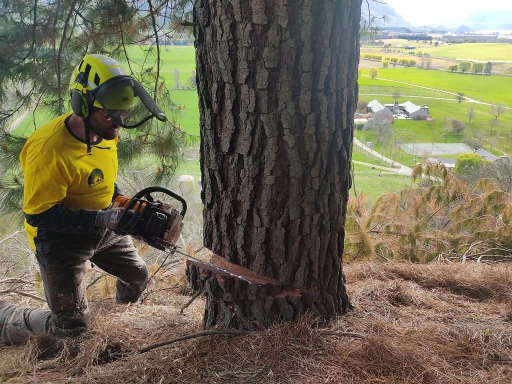 man chain sawing a tree in a yellow top