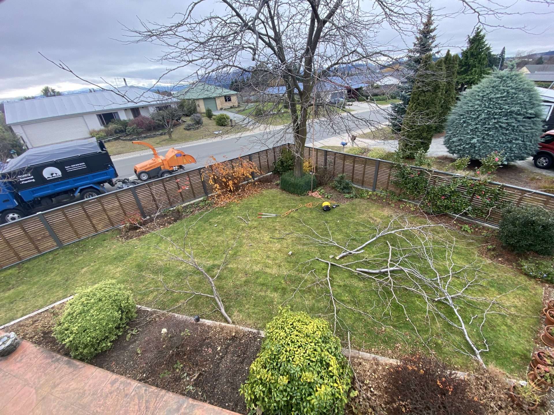 tree pruning