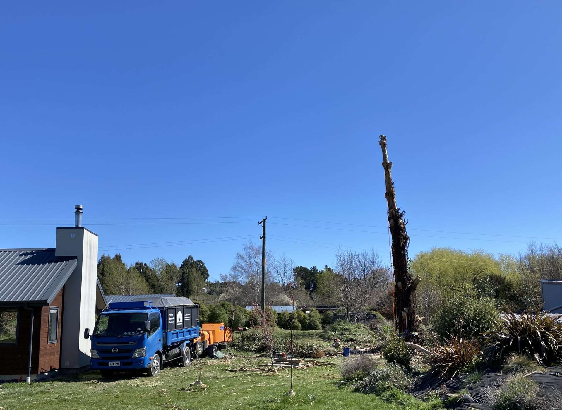 tree Removal - after