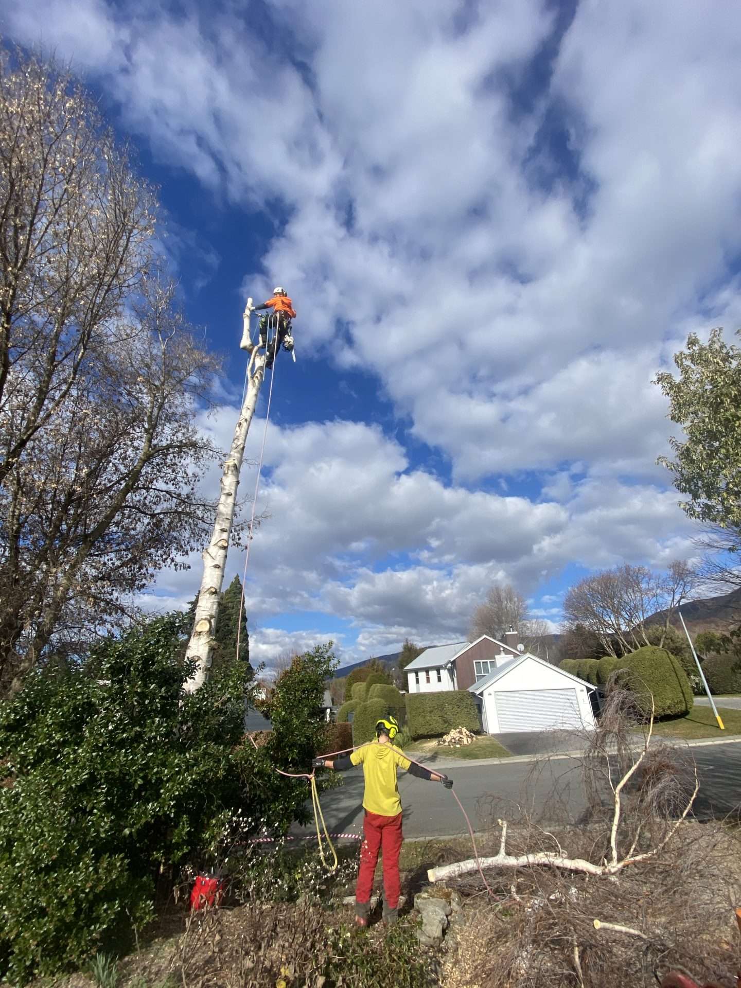 Residential tree work