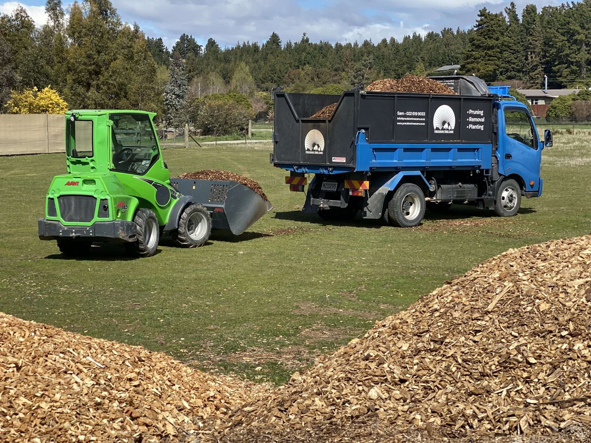 Stump Grinding - Precision Tree Care