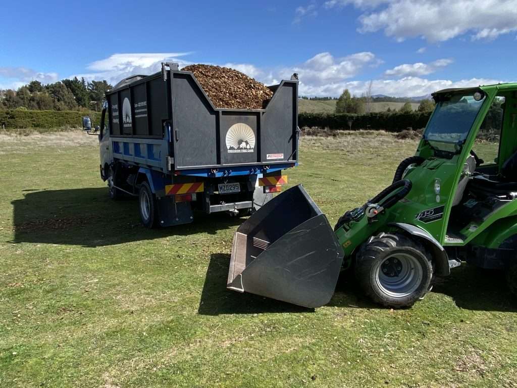 qualified arborist in the south island