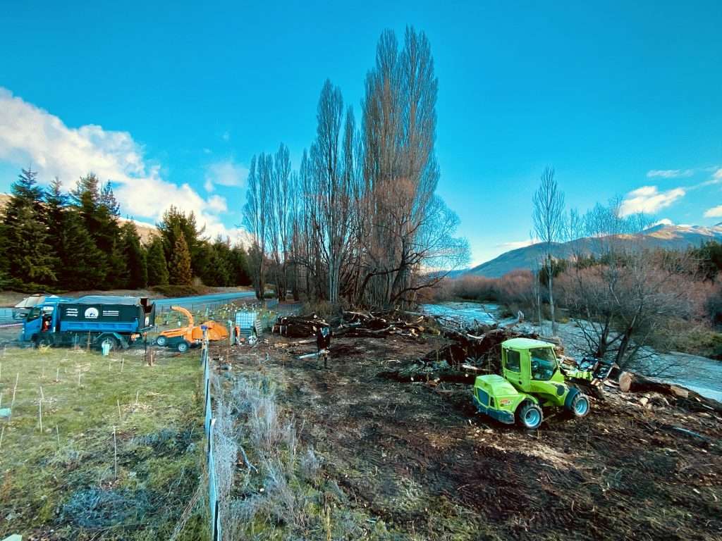 team removing trees in wanaka new zealand